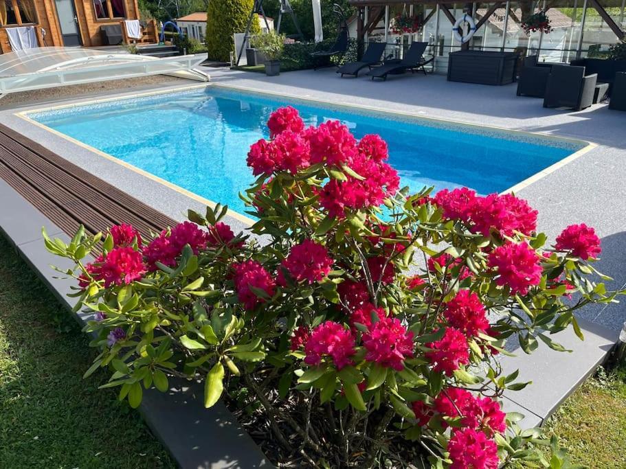 Chalet 2 Personnes Avec Jacuzzi Et Piscine Saisonniere Partagee Corcieux 外观 照片