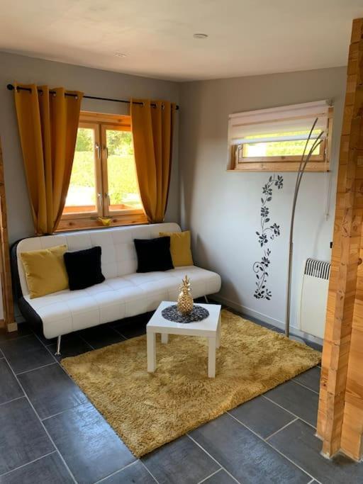 Chalet 2 Personnes Avec Jacuzzi Et Piscine Saisonniere Partagee Corcieux 外观 照片